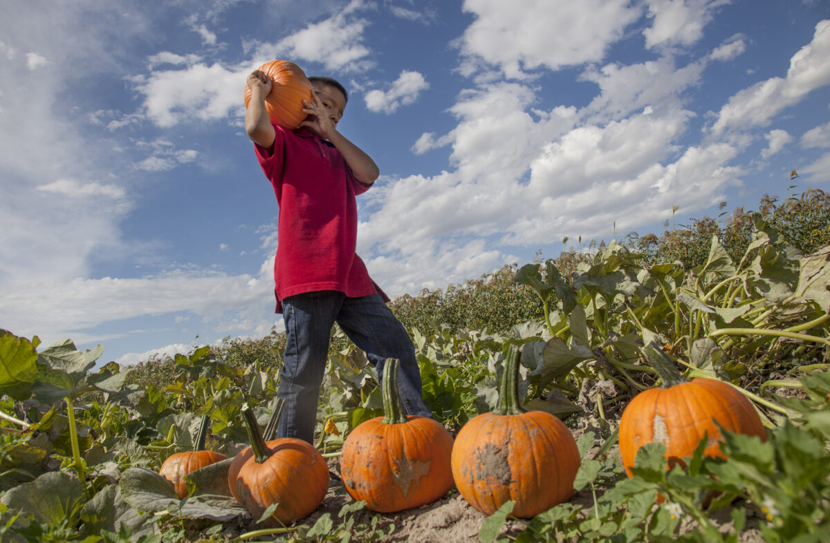 Northern Utah Living: Places to go, things to do (Oct. 10-18)